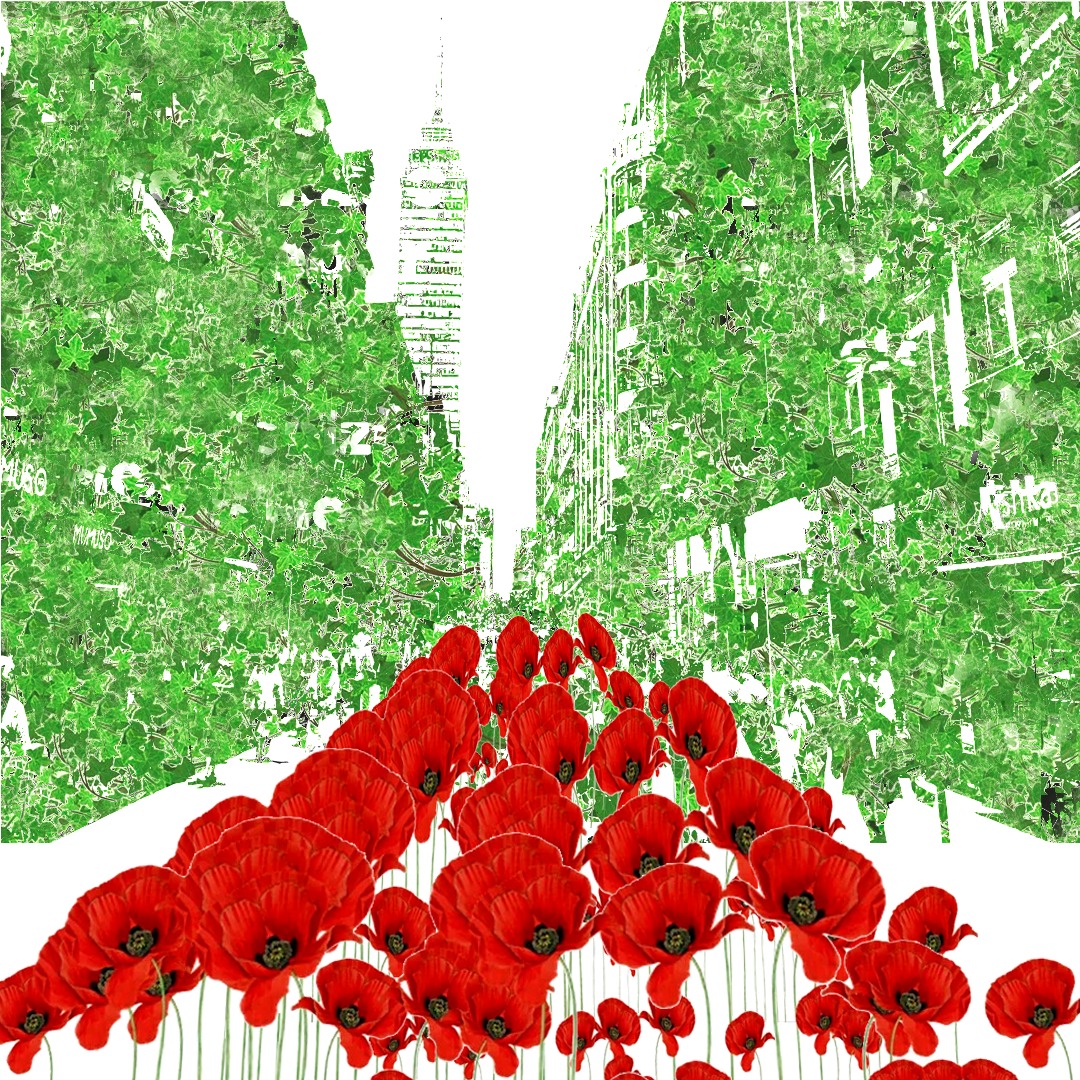 El anarchivo palestino